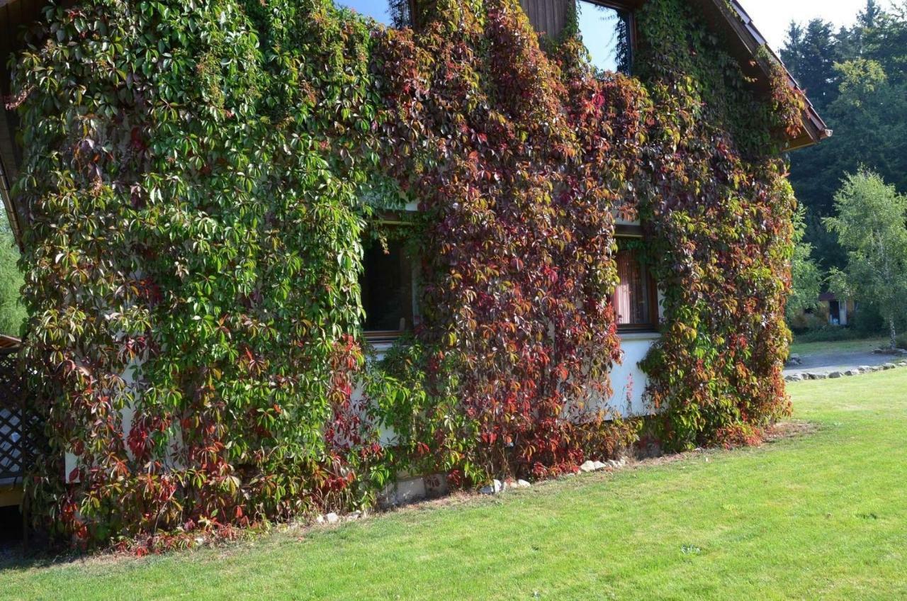 Dom Na Pstraznicy Villa Kudowa Zdroj Exterior photo